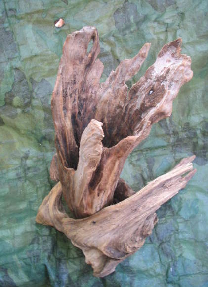 流木花器　流木の造形、素材を生かして制作した、世界に一つの個性的なワイルドでナチュラル流木花器